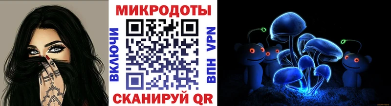 кракен маркетплейс Нижний Тагил Псилоцибиновые грибы прущие грибы как найти